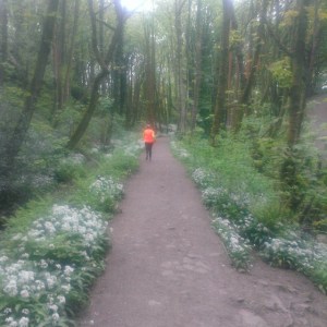 Skipping back home through Fairy Glen - delightful whatever the season.