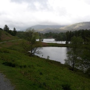 The stunning Tarn Hows. Probably the jewel in the crown of the Lakeland Trails marathon, (so they make you go round it twice!)