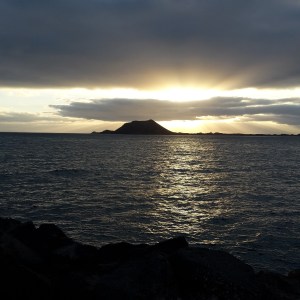 Why wouldn't you want to get up for this?